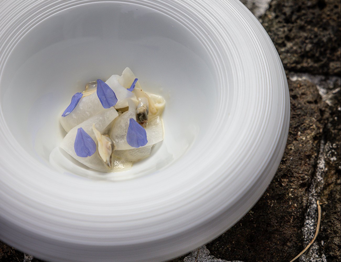 Fine dining plate against a stone background