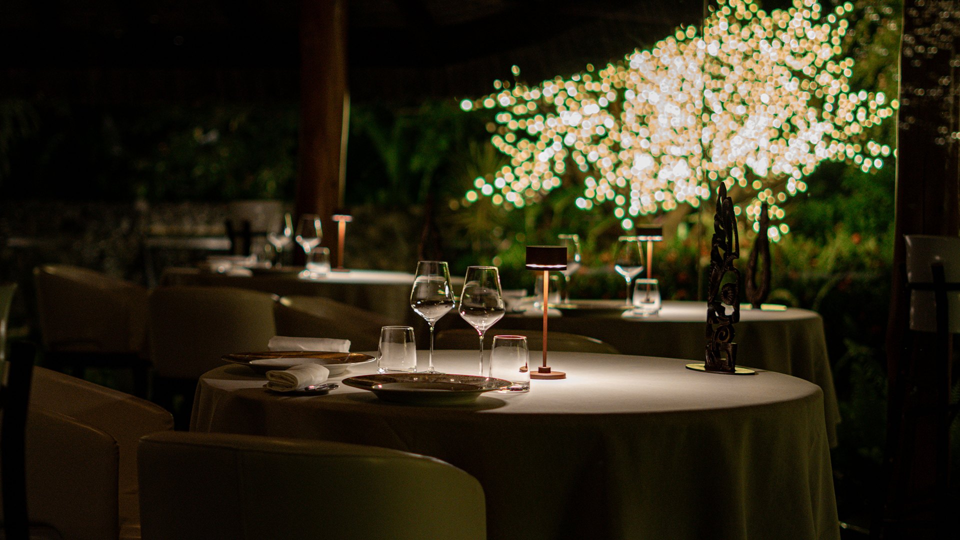 Table set beneath an illuminated tree